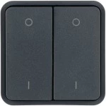 Hager WNT964 Wippe 2fach für Taster BA AP,Bedruckung, oben 0/unten 1, W.1 IP55, grau 