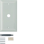 Hager WZD6100GT Glasabdeckplatte 1f. klar System TS 