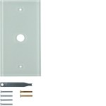 Hager WZD7100GW Glasabdeckplatte 1f. polarweiß System TS 