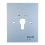 JUNG 4.28WUG Metall-Abdeckung 125 x 100 mm, mit Symbolen, WG 800, Alu matt 