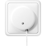 JUNG 5506ZUWW Zug-Wechselschalter mit integriertem Rahmen, mit integriertem Rahmen, Duroplast, Serie CD, alpinweiß 