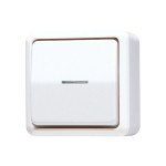 JUNG 606KO5AWW Wipp-Kontrollschalter, Universal Aus-Wechsel, 10 AX 250 V ~, AP 600 