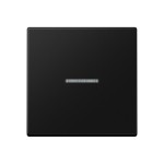 JUNG A101KO5BFSWM Wippe für KNX Taster, F10, mit Lichtleiter, Thermoplast lackiert, Serie A, graphitschwarz matt 