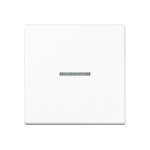 JUNG A101KO5BFWW Wippe für KNX Taster, F10, mit Lichtleiter, Thermoplast, Serie A, alpinweiß 