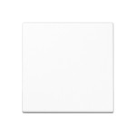 JUNG A101WW Wippe für KNX Taster, F10, Duroplast, Serie A, alpinweiß 