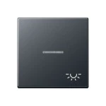 JUNG A590BFKO5LANM Wippe 1fach, Symbol Licht, mit Lichtleiter, Thermoplast lackiert, Serie A, anthrazit matt 