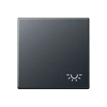 JUNG A590BFLANM Wippe 1fach, Symbol Licht, Thermoplast lackiert, Serie A, anthrazit matt 