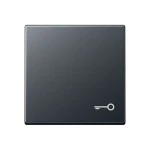 JUNG A590BFTANM Wippe 1fach, Symbol Tür, Thermoplast lackiert, Serie A, anthrazit matt 