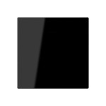 JUNG A594-0PLSW Blind-Abdeckung (gerastet) Zentralplatte, Thermoplast, Serie A, schwarz 