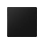 JUNG A594-0PLSWM Blind-Abdeckung (gerastet) Zentralplatte, Thermoplast lackiert, Serie A, graphitschwarz matt 