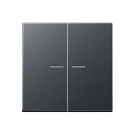 JUNG A595BFKO5ANM Wippe 2fach, mit Lichtleiter, Thermoplast lackiert, Serie A, anthrazit matt 