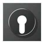 JUNG AL2928AN Abdeckung für Schlüsselschalter mit Demontageschutz 1fach, Aluminium lackiert, Serie LS, anthrazit 