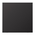 JUNG AL2990D Wippe 1fach, Aluminium lackiert, Serie LS, dark 