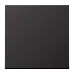 JUNG AL2995D Wippe 2fach, Aluminium lackiert, Serie LS, dark 