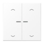 JUNG BTLS17102PWWM HOME Taster 2fach, mit Pfeilsymbolen, mit Lichtleiter, Duroplast lackiert, Serie LS, schneeweiß matt 