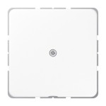 JUNG CD590AWW Leitungsauslass mit Zugentlastung, Duroplast, Serie CD, alpinweiß 