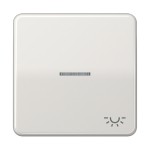 JUNG CD590KO5LLG Wippe 1fach, Symbol Licht, mit Lichtleiter, Duroplast, Serie CD, lichtgrau 