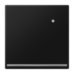 JUNG LS1539-OSWMLNW LED-Orientierungslicht mit integriertem Helligkeitssensor, Thermoplast lackiert, Serie LS, graphitschwarz matt 