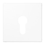 JUNG LS925WW Abdeckung für Schlüsselschalter ohne Demontageschutz 1fach, Thermoplast, Serie LS, alpinweiß 