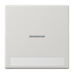 JUNG LS990NAKO5LG Wippe 1fach, mit Schriftfeld, mit Lichtleiter, Duroplast, Serie LS, lichtgrau 