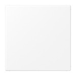 JUNG LS994BWWM Blind-Abdeckung (gerastet), Thermoplast lackiert, Serie LS, schneeweiß matt 