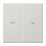 JUNG LS995PLG Wippe 2fach, mit Pfeilsymbolen, Duroplast, Serie LS, lichtgrau 