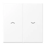 JUNG LS995PWWM Wippe 2fach, mit Pfeilsymbolen, Duroplast lackiert, Serie LS, schneeweiß matt 