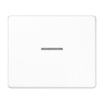 Jung SL590KO5WW Wippe 1-fach mit Lichtleiter Aluminium lackiert Serie SL alpinweiß 