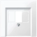 Merten Zentralplatte für TAE/Audio/USB, polarweiß glänzend, System M 