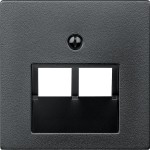 Merten Zentralplatte für UAE-Einsatz, 2fach, anthrazit, System M 
