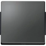 Merten Wippe, anthrazit, AQUADESIGN 