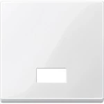 Merten Wippe mit rechteckigem Symbolfenster, polarweiß glänzend, System M 