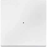 Merten Wippe für Taster-Modul 1fach, polarweiß, System M 