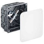 Kaiser 1095-73 Erdung Potentialausgleich-Kasten 10² für Unterputz 