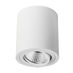 Brumberg 12063173 LED-Anbaustrahler 230V AC 50 Hz 8W 38° 3000K rund schwenkbar struktur 