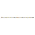 Brumberg 15221027 LED-Flexplatine IP60 5 Meter 4,8 W/m 24V DC 2700K CRI > 90 Maße: L x B x 
