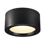 SLV 1001939 FERA 25, LED Indoor Deckenaufbauleuchte, schwarz, 3000 K, 100° 