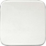 Eltako W-FT55R-at Wippe lasergraviert 55x55mm 30000967 