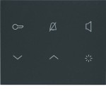 ELCOM REA114Y Innenstat. Audio 2D anthrazit matt TOUCH 