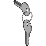 Schneider Electric ZBG455 Ersatzschlüssel f. Schlüsselschalter, 455, Verpackungseinheit: 2 Stck. 