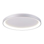 Deko-Light 348188 Deckenaufbauleuchte, Merope 400, 30 W, DIM, 3000/4000 K, Silber, 220-240 V/AC, 5 