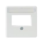 Rutenbeck 13910053 Zentralstück für 2 modulare Stecköffnungen RJ45 mit Beschriftungsfeld reinweiß (ähnlich RAL 9010) 