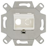 Rutenbeck 17000053 Montageadapter 2-fach Unterputz für BNC-C/IEC/Cinch-Buchsen abbrechbarer Tragring für Stegversion 