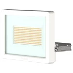 Theben 1020676 Energieeffizienter LED-Strahler 50 W mit umschaltbarer Farbtemperatur 3000/4000 K, weiß (Zubehör) 
