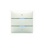 Theben 4800412 Tastsensor LUXORliving iON2 2 Tasten 
