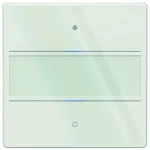 Theben 4969282 KNX Glas-Tastsensor mit 2 Tasten, 2 Status-LEDs und integriertem Temperatursensor 
