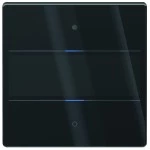 Theben 4969292 KNX Glas-Tastsensor mit 2 Tasten, 2 Status-LEDs schwarz 