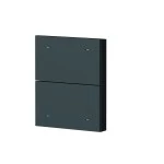 Theben 9080066 2-fach Wippe Metall schwarz (Zubehör) 