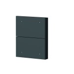 Theben 9080069 2-fach Wippe aus schwarzem Kunststoff (Zubehör) 