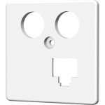 Homeway HAXHSE-G0401-CONE Zentralplatte LAN/LAN 50x50mm reinweiß 